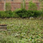 Winterbottom's Reservoir Salford Being Drained
